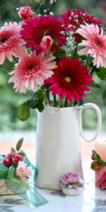 Gerberas,Typography,Registration,Jug,Gipsophile,Basket,Candle,Flowers,Roses,Gypsophilus