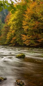 Germany,Harz,Rivers,Trees,Nature,Autumn