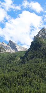 Germany,Nature,Trees,Hinterese,Berchtesgaden,Mountains,Hintersee