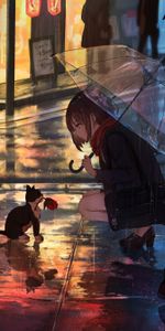 Anime,Flor,Gatito,Niña,Calle,Muchacha,Lluvia