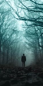 Forêt,Brouillard,Solitude,Silhouette,Sombre,Divers