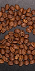 Grain,Fried,Roasted,Food,Brown,Grains,Coffee Beans,Coffee