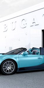 Grand Sport,Vitesse,Bugatti Veyron,Cars,Bugatti,Supercar