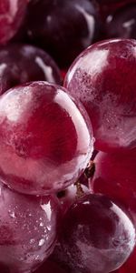 Grapes,Ripe,Berries,Macro