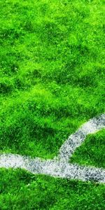 Herbe,Contexte,Football Américain