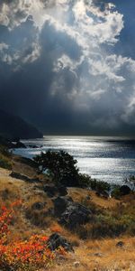 Grass,Bank,Crimea,Sky,Shore,Nature,Sea,Night