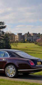 Herbe,Vue De Côté,Voitures,Bentley