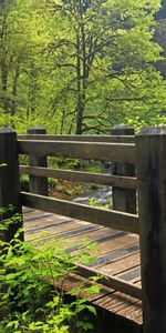 Grass,Bridge,Nature,Waterfall