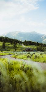 Grass,Building,Road,Hills,Nature,Village