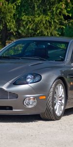 Vanquish,Трава,V12,2001,Тачки (Cars),Вид Спереди,Серый,Астон Мартин (Aston Martin)