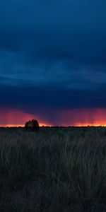 Grass,Clouds,Field,Sunset,Nature