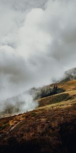 Naturaleza,Árboles,Hierba,Nubes,Niebla,Cuesta,Pendiente