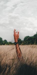 Grass,Clouds,Miscellanea,Hand,Miscellaneous,Field