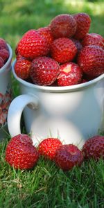 Grass,Cups,Raspberry,Berries,Currant,Mugs,Country House,Dacha,Goblet,Food,Strawberry,Macro,Wineglass