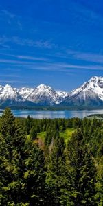 Grass,Dahl,Nature,Mountains,Vertex,Tops,Distance