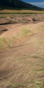 Herbe,Paysage,Sable,Désert