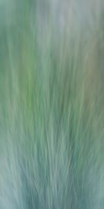 Grass,Distortion,Wind,Abstract