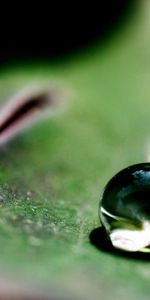 Grass,Drops,Macro,Surface,Form