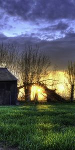 Grass,Evening,Shed,Nature,Field,Hdr,Barn