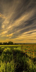 Grass,Fencing,Sky,Field,Enclosure,Summer,Nature