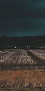 Grass,Field,Evening,Dark