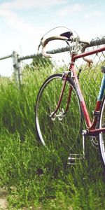 Grass,Field,Fence,Nature,Summer,Bicycle,Hedge