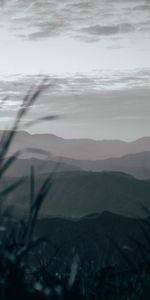 Nature,Les Collines,Collines,Herbe,Brouillard,Montagnes,Paysage