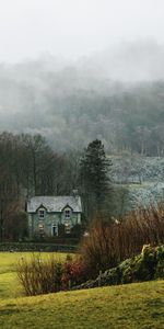 Grass,Fog,Nature,Village,Landscape,House