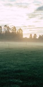 Se Lever,Domaine,Brouillard,Herbe,Aube,Champ,Nature,Lever Du Soleil,Arbres