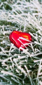 Grass,Frost,Hoarfrost,Heart,Love