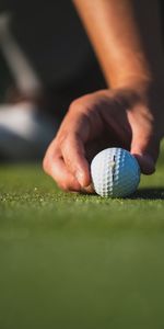 Grass,Hand,Ball,Sports,Fingers,Golf