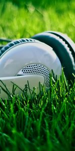 Grass,Headphones,Music