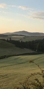 Grass,Hill,Arable Land,Nature,Landscape