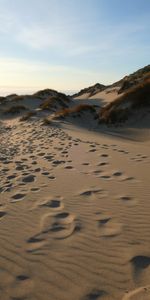 Naturaleza,Hierba,Arena,Cerro,Loma,Huellas,Rastros,Dunas