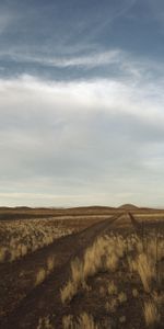 Grass,Hills,Fence,Steppe,Nature