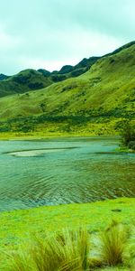 Grass,Lagoon,Nature,Mountains,Lake