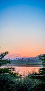 Grass,Lake,Branches,United States,Santa Barbara,Nature,Sunset,Usa