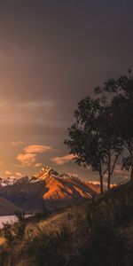 Nature,Herbe,Lac,Nouvelle Zélande,Montagnes,Coucher De Soleil