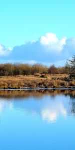 Grass,Lake,Nature,Reflection