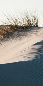 Herbe,Liens,Nature,Dunes,Sable,Désert