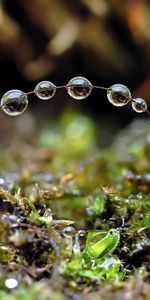 Grass,Macro,Form,Drops,Spray