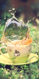 Grass,Macro,Greens,Land,Cup,Spray,Earth,Tea,Saucer