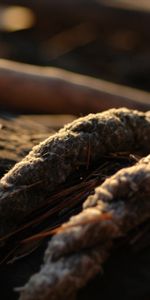 Grass,Macro,Mud,Dirt,Rope,Macro Photography