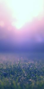 Grass,Macro,Shine,Shadow,Glare,Light,Blur,Smooth