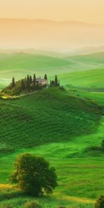 Italie,Champ,Propriété,Manoir,Domaine,Herbe,Toscane,Nature