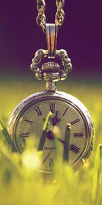 Grass,Miscellanea,Miscellaneous,Design,Cap,Chain,Pocket Watch,Lid