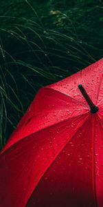 Grass,Miscellanea,Miscellaneous,Drops,Umbrella