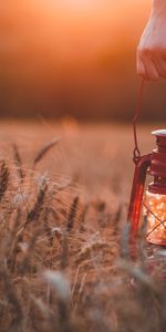 Grass,Miscellanea,Miscellaneous,Field,Hand,Lamp