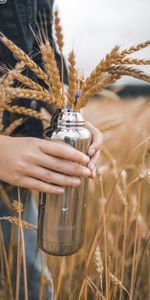 Grass,Miscellanea,Miscellaneous,Hands,Ears,Spikes,Fingers