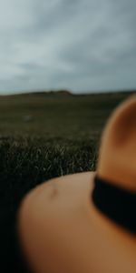 Grass,Miscellanea,Miscellaneous,Lawn,Hat,Brown